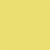 Benjamin Moore's paint color 2024-40 Yellow Finch available at Standard Paint & Flooring.