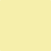 Benjamin Moore's paint color 2024-50 Jasper Yellow available at Standard Paint & Flooring.