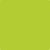 Benjamin Moore's paint color 2025-10 Bright Lime available at Standard Paint & Flooring.