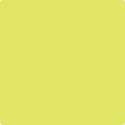 Benjamin Moore's paint color 2025-40 Limelight available at Standard Paint & Flooring.