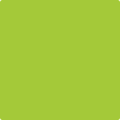 Benjamin Moore's paint color 2026-20 Margarita available at Standard Paint & Flooring.