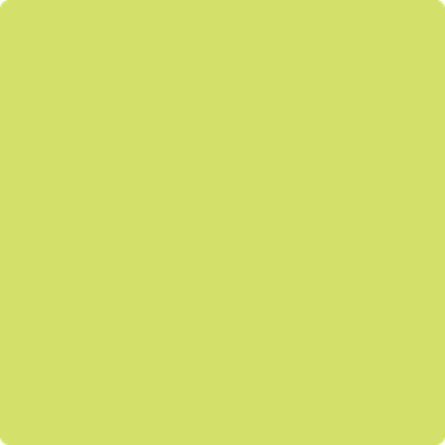 2026-10 Lime Green - Paint Color