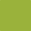 Benjamin Moore's paint color 2027-10 Dark Lime available at Standard Paint & Flooring.