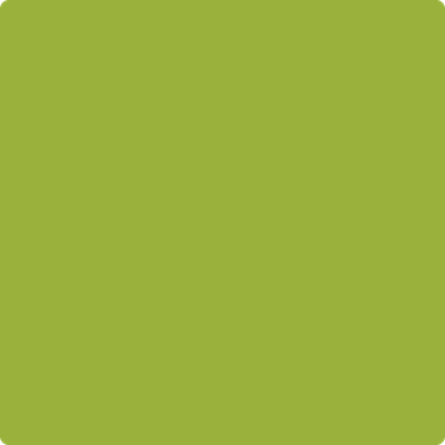 Benjamin Moore's paint color 2027-10 Dark Lime available at Standard Paint & Flooring.
