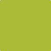 Benjamin Moore's paint color 2027-20 Spring Moss available at Standard Paint & Flooring.