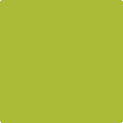 Benjamin Moore's paint color 2027-20 Spring Moss available at Standard Paint & Flooring.