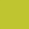 Benjamin Moore's paint color 2027-30 Electric Lime available at Standard Paint & Flooring.