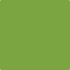 Benjamin Moore's paint color 2028-10 Iguana Green available at Standard Paint & Flooring.
