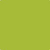 Benjamin Moore's paint color 2028-30 Tequila Lime available at Standard Paint & Flooring.