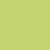 Benjamin Moore's paint color 2028-40 Pear Green available at Standard Paint & Flooring.