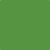 Benjamin Moore's paint color 2029-10 Basil Green available at Standard Paint & Flooring.