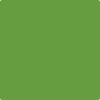 Benjamin Moore's paint color 2029-20 Baby Fern available at Standard Paint & Flooring.