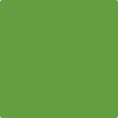 Benjamin Moore's paint color 2029-20 Baby Fern available at Standard Paint & Flooring.