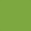 Benjamin Moore's paint color 2029-30 Rosemary Green available at Standard Paint & Flooring.