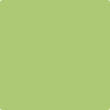 Benjamin Moore's paint color 2029-40 Stem Green available at Standard Paint & Flooring.