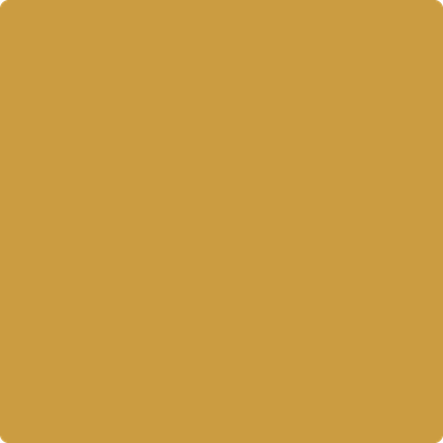 Benjamin Moore's paint color 203 Fields Of Gold