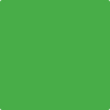 Benjamin Moore's paint color 2030-20 Tropical Seaweed Green available at Standard Paint & Flooring.