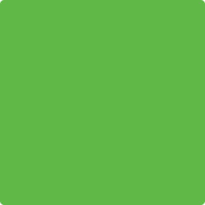 Benjamin Moore's paint color 2030-30 Lucky Charm Green available at Standard Paint & Flooring.