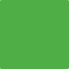Benjamin Moore's paint color 2031-10 Neon Lime available at Standard Paint & Flooring.