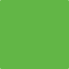 Benjamin Moore's paint color 2031-20 Paradise Green available at Standard Paint & Flooring.