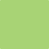 Benjamin Moore's paint color 2031-40 Spring Meadow Green available at Standard Paint & Flooring.