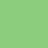 Benjamin Moore's paint color 2032-40 Citrus Green available at Standard Paint & Flooring.