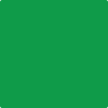 Benjamin Moore's paint color 2033-20 Peppermint Leaf available at Standard Paint & Flooring.