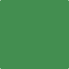 Benjamin Moore's paint color 2034-30 Grassy Fields available at Standard Paint & Flooring.