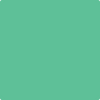 Benjamin Moore's paint color 2037-40 Adam Green available at Standard Paint & Flooring.