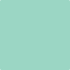 Benjamin Moore's paint color 2038-50 Return to Paradise available at Standard Paint & Flooring.