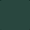 Benjamin Moore's paint color 2041-10 Hunter Green available at Standard Paint & Flooring.