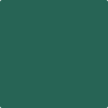 Benjamin Moore's paint color 2041-20 Fiddlehead Green available at Standard Paint & Flooring.