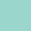 Benjamin Moore's paint color 2041-50 Sea Mist Green available at Standard Paint & Flooring.
