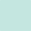 Benjamin Moore's paint color 2041-60 Soft Mint available at Standard Paint & Flooring.