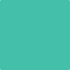 Benjamin Moore's paint color 2042-40 Miami Green available at Standard Paint & Flooring.