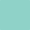 Benjamin Moore's paint color 2042-50 Caribe Green available at Standard Paint & Flooring.