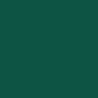 Benjamin Moore's paint color 2043-10 Absolute Green available at Standard Paint & Flooring.