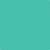 Benjamin Moore's paint color 2043-40 Egyptian Green available at Standard Paint & Flooring.