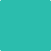 Benjamin Moore's paint color 2046-40 Green Sponge available at Standard Paint & Flooring.