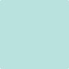 Benjamin Moore's paint color 2046-60 Misty Teal available at Standard Paint & Flooring.