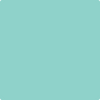 Benjamin Moore's paint color 2047-50 Shore House Green available at Standard Paint & Flooring.