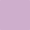 Benjamin Moore's paint color 2073-50 Purple Easter Egg available at Standard Paint & Flooring.