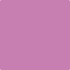 Benjamin Moore's paint color 2075-40 Pink Raspberry available at Standard Paint & Flooring.