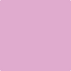 Benjamin Moore's paint color 2075-50 Pink Taffy available at Standard Paint & Flooring.