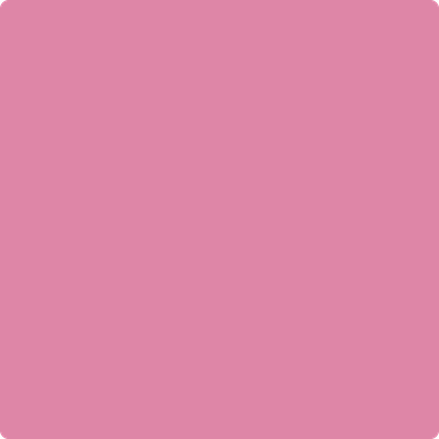 Benjamin Moore's 2078-40 Paradise Pink| Standard Paint & Flooring