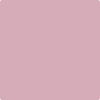 Benjamin Moore's paint color 2082-50 Damask Rose available at Standard Paint & Flooring.