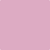 Benjamin Moore's paint color 2083-50 Pink Pansy available at Standard Paint & Flooring.