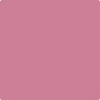 Benjamin Moore's paint color 2085-40 Taste of Berry available at Standard Paint & Flooring.
