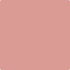 Benjamin Moore's paint color 2088-50 Cool Lava available at Standard Paint & Flooring.