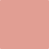 Benjamin Moore's paint color 2089-40 Tomato Cream Sauce available at Standard Paint & Flooring.